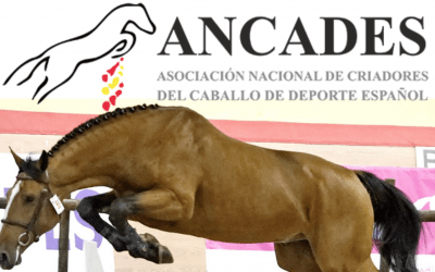 La final ANCADES 2020, en el Club Hípico Astur